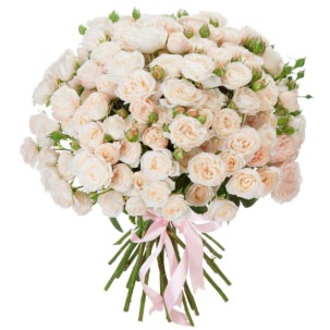Розы Пионовидные белые