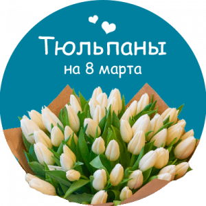 Купить тюльпаны в Новороссийске